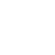 Parity Technologies logo